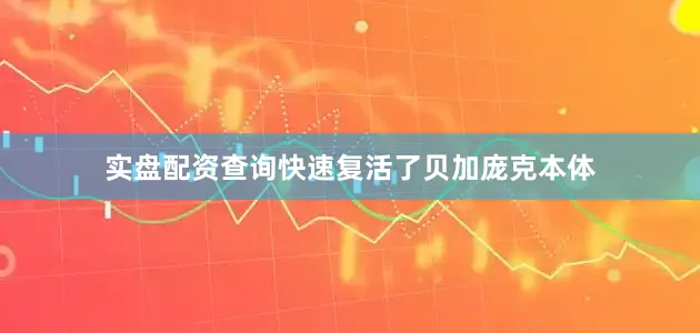 实盘配资查询快速复活了贝加庞克本体