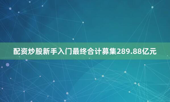 配资炒股新手入门最终合计募集289.88亿元